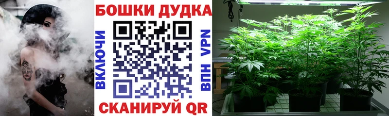 Купить закладки  Дятьково  Бошки марихуана Amnesia 